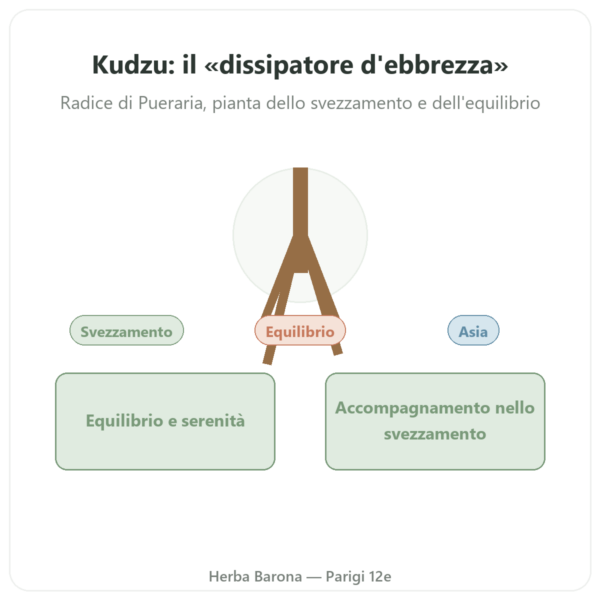 Radice di Kudzu – Qualidiet – 200 compresse presentazione Paris Herba Barona