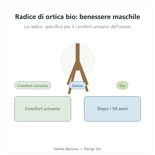 Radice d'Ortica Bio – Dynveo – Estratto 4:1 – 60 capsule presentazione Paris Herba Barona