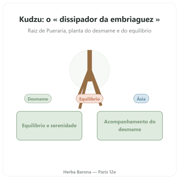 Raiz de Kudzu – Qualidiet – 200 comprimidos apresentação Paris Herba Barona