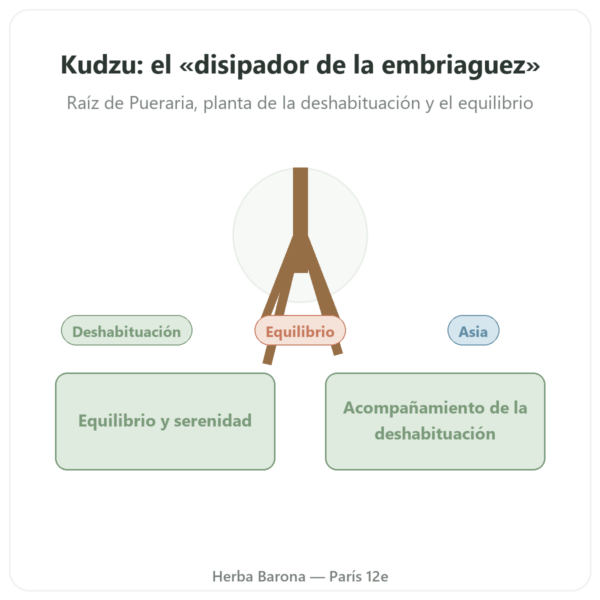 Raíz de Kudzu – Qualidiet – 200 Comprimidos presentación Paris Herba Barona