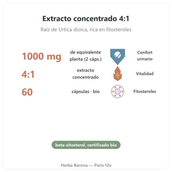 Raíz de Ortiga BIO – Dynveo – Extracto 4:1 – 60 cápsulas beneficios y datos clave Paris Herba Barona