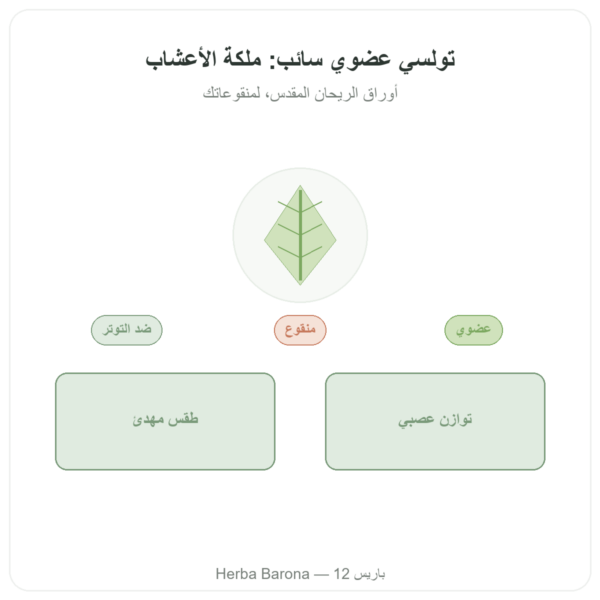 تولسي عضوي بالجملة – كيس 100 غ – Ayur-vana عرض المنتج Paris Herba Barona