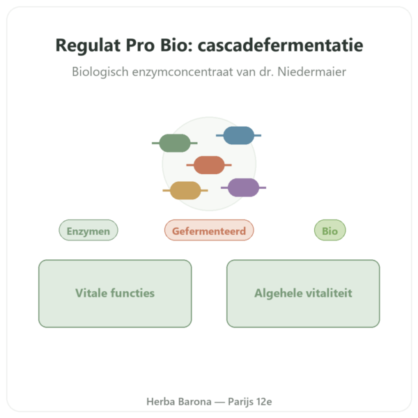 Regulat Pro Bio Original van Dr Niedermaier – 350 ml presentatie Paris Herba Barona