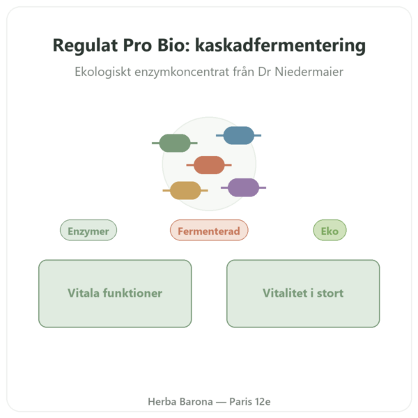 Regulat Pro Bio Original från Dr Niedermaier – 350 ml presentation Paris Herba Barona