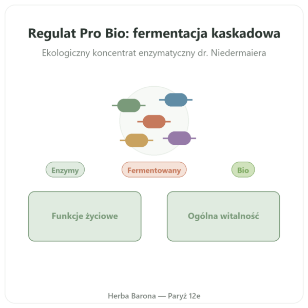 Regulat Pro Bio Original Dr. Niedermaiera – 350 ml prezentacja Paris Herba Barona