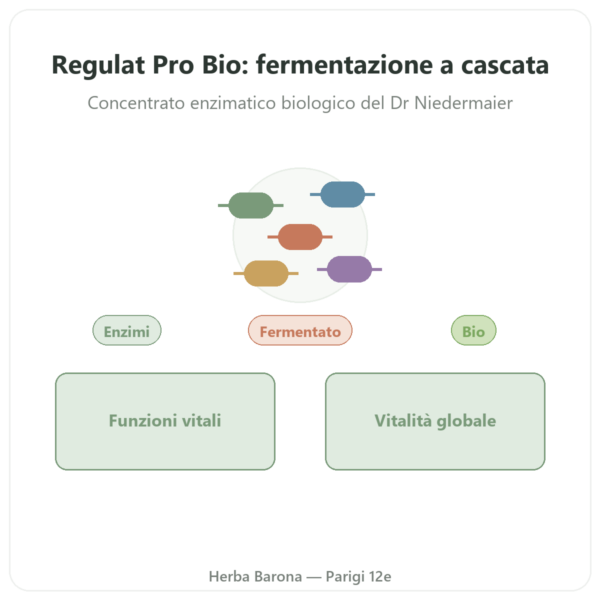 Regulat Pro Bio Original del Dr. Niedermaier – 350 ml presentazione Paris Herba Barona