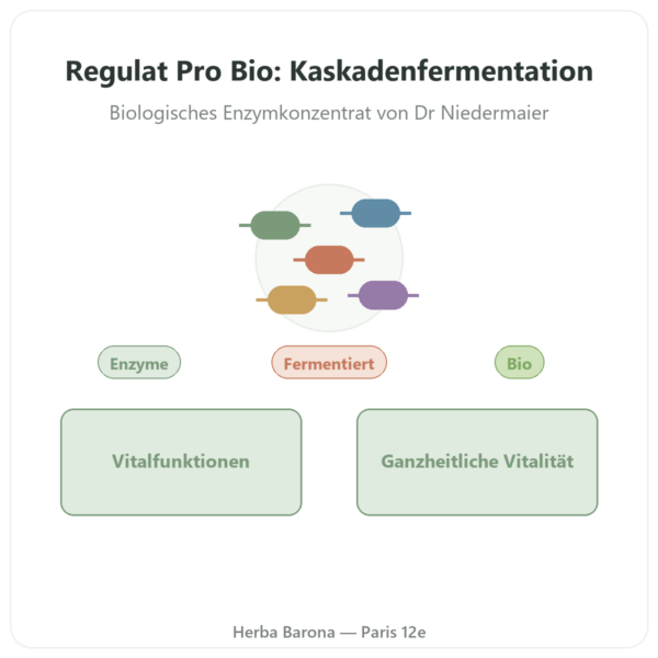 Regulat Pro Bio Original Dr. Niedermaier – 350 ml Vorstellung Paris Herba Barona