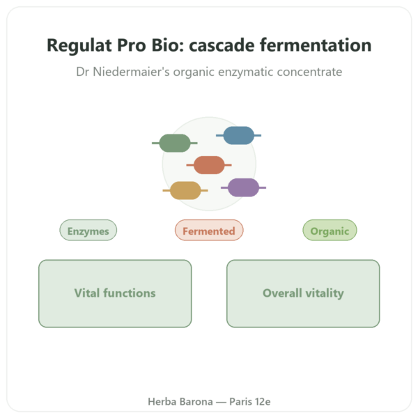 Regulat Pro Bio Original by Dr Niedermaier – 350 ml presentation Paris Herba Barona