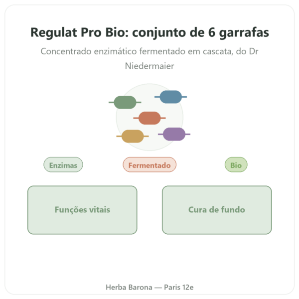 Regulat Pro Bio – Pack de 6 Garrafas – 45€ a Garrafa apresentação Paris Herba Barona