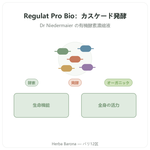 Regulat Pro Bio Original Dr Niedermaier – 350 ml presentation Paris Herba Barona