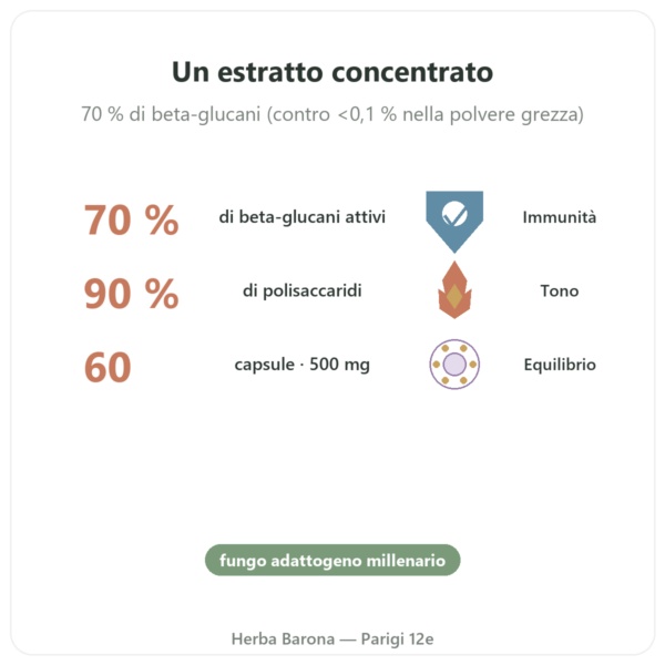 Reishi bio – Dynveo – 500mg – 60 capsule benefici e dati chiave Paris Herba Barona