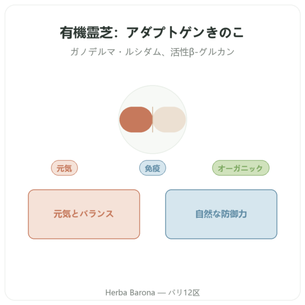 有機レイシ Dynveo – 200mg – 60カプセル presentation Paris Herba Barona