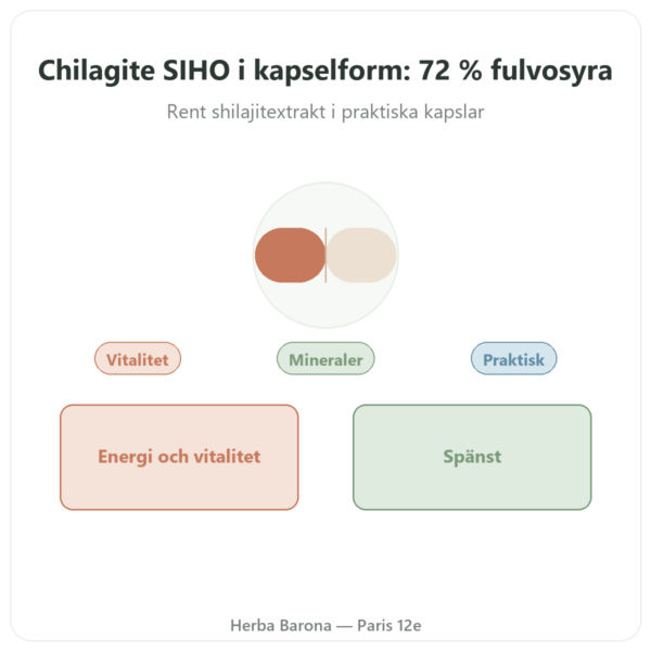 Ren Chilagit i kapslar rik på fulvosyra – 60 kapslar – SIHO presentation Paris Herba Barona