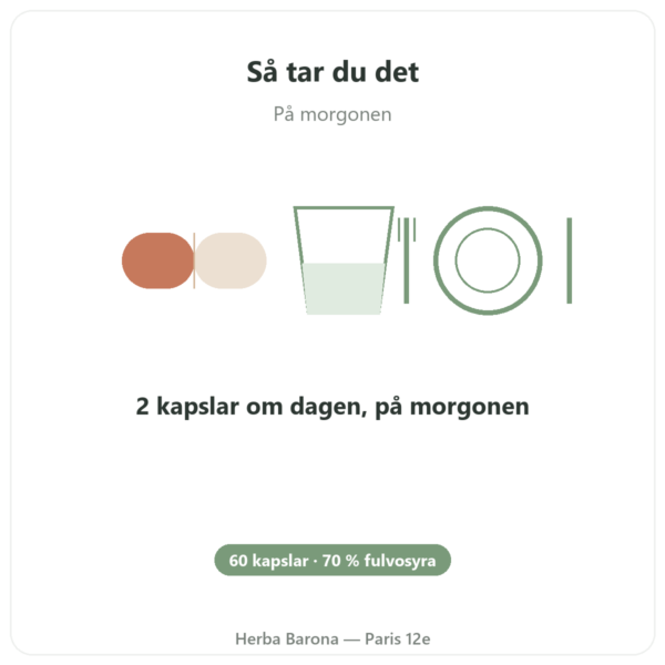 Ren Shilajit i kapslar från Feel Pure – 70 % fulvosyra användning och dosering Paris Herba Barona