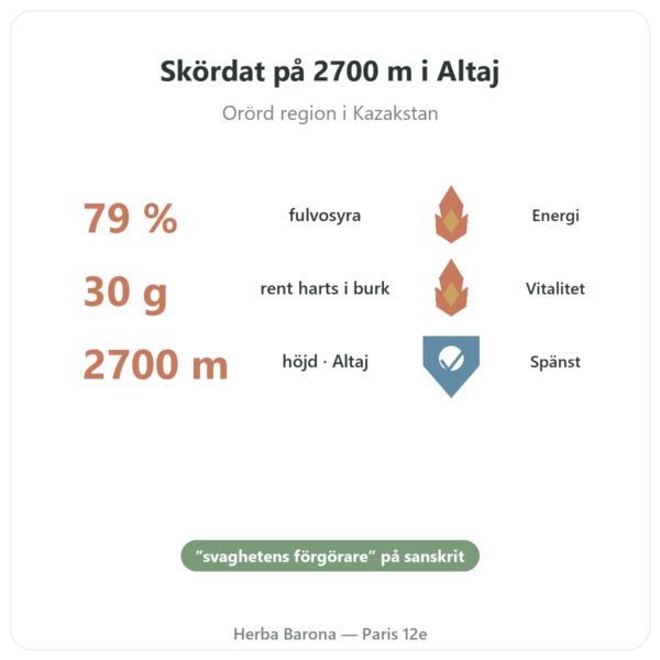 Ren Shilajit-harts – SIHO – 79 % fulvosyra – 30 g burk fördelar och nyckelfakta Paris Herba Barona