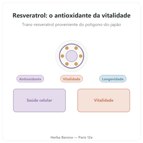 Resveratrol 300 mg 60 cápsulas DYNVEO apresentação Paris Herba Barona