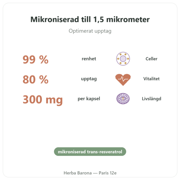 Resveratrol 300 mg 60 kapslar DYNVEO fördelar och nyckelfakta Paris Herba Barona