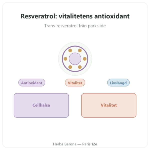 Resveratrol 300 mg 60 kapslar DYNVEO presentation Paris Herba Barona