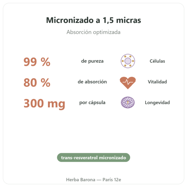 Resveratrol 300 mg – 60 cápsulas – Dynveo beneficios y datos clave Paris Herba Barona