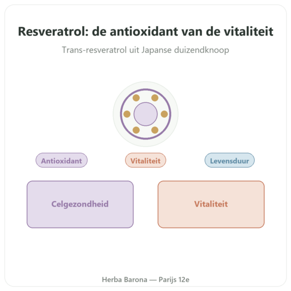 Resveratrol 300 mg 60 capsules – DYNVEO presentatie Paris Herba Barona
