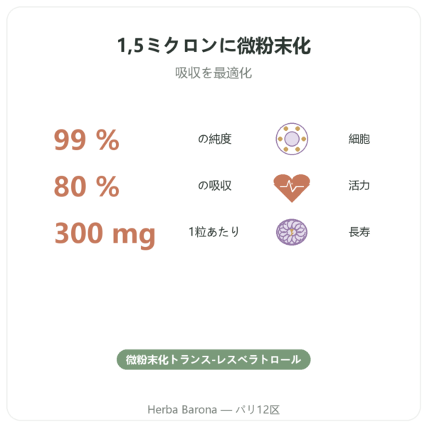 レスベラトロール 300 mg 60カプセル DYNVEO benefits and key facts Paris Herba Barona