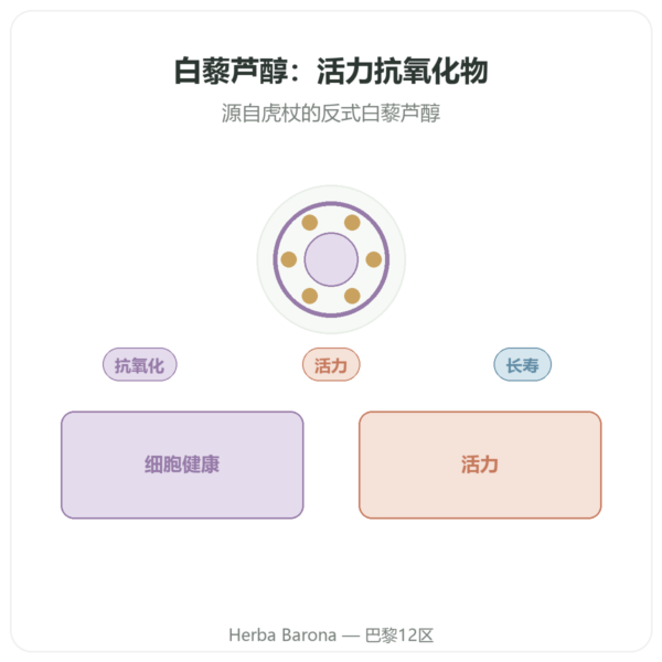 白藜芦醇 300 mg 60 粒 DYNVEO 产品展示 Paris Herba Barona