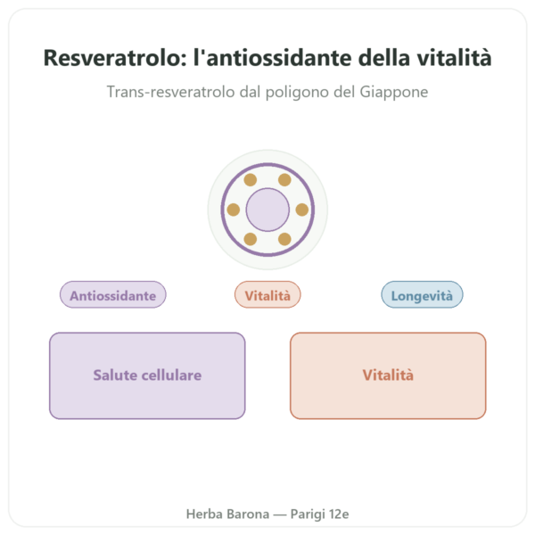 Resveratrolo 300 mg 60 capsule DYNVEO presentazione Paris Herba Barona