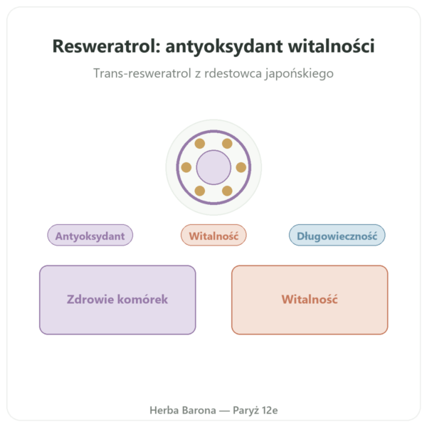 Resweratrol 300 mg 60 kapsułek DYNVEO prezentacja Paris Herba Barona