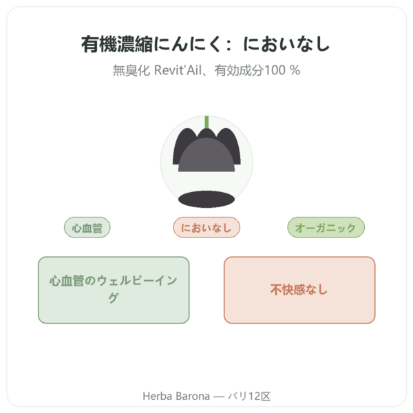 オーガニック濃縮ガーリック – Revit’Ail – 72カプセル – Vecteur Santé presentation Paris Herba Barona