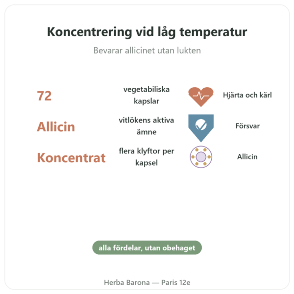 Ekologisk Koncentrerad Vitlök – Revit'Ail – 72 kapslar – Vecteur Santé fördelar och nyckelfakta Paris Herba Barona