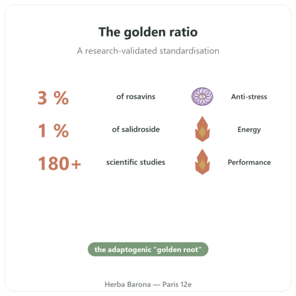 Rhodiola Rosea – Dynveo – 60 capsules – Adaptogen benefits and key facts Paris Herba Barona