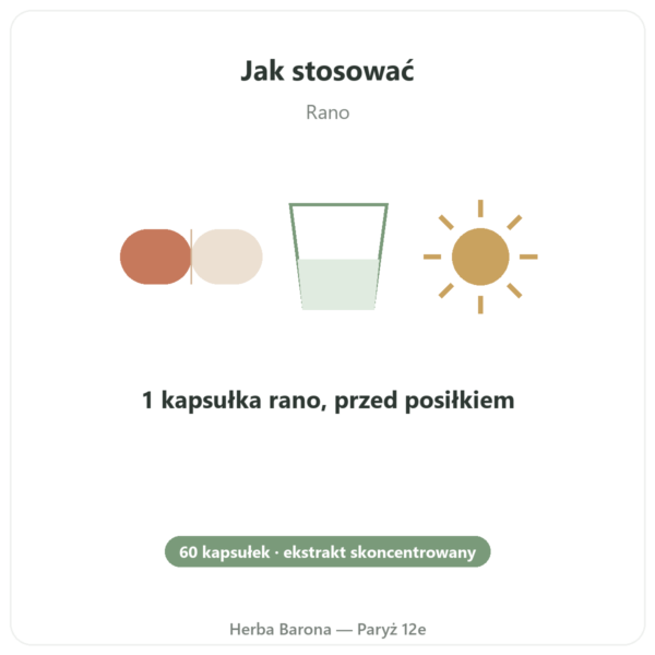 Rhodiola Rosea – Dynveo – 60 kapsułek – Adaptogen sposób użycia i dawkowanie Paris Herba Barona