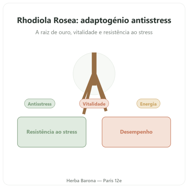 Rhodiola Rosea Dynveo 60 cápsulas – Adaptogénio apresentação Paris Herba Barona