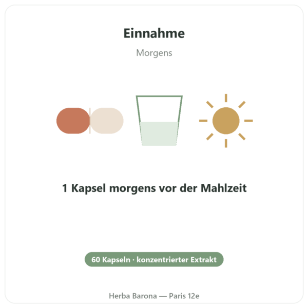 Rhodiola Rosea Adaptogen – Dynveo – 60 Kapseln Anwendung und Dosierung Paris Herba Barona