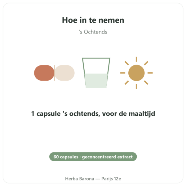 Rhodiola Rosea – Dynveo – 60 capsules – Adaptogeen gebruiksaanwijzing en dosering Paris Herba Barona