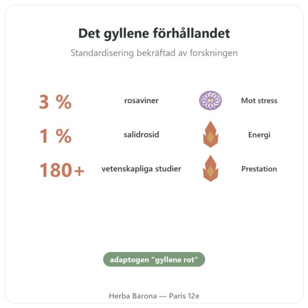 Rhodiola Rosea – Dynveo – 60 kapslar – Adaptogen fördelar och nyckelfakta Paris Herba Barona