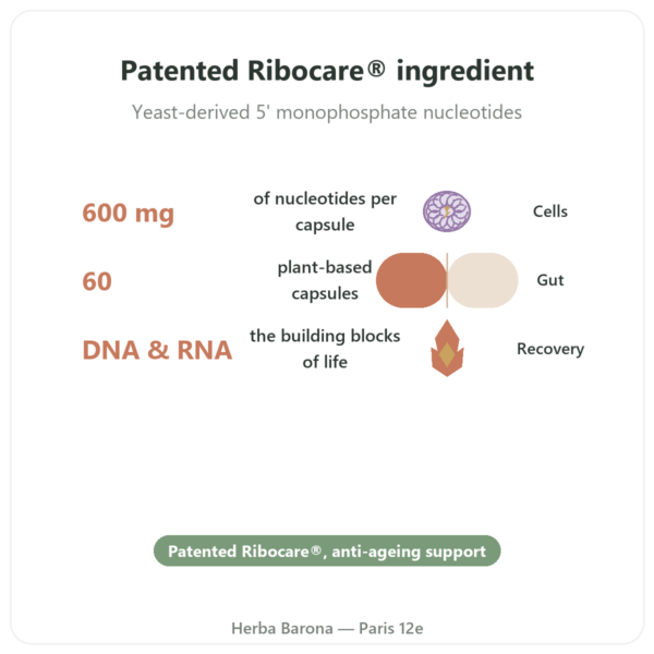 Ribocare® Nucleotides 600 mg – Dynveo – 60 Capsules benefits and key facts Paris Herba Barona