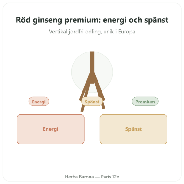 Röd Ginseng Premium – Dynveo – 200mg – 60 Kapslar presentation Paris Herba Barona