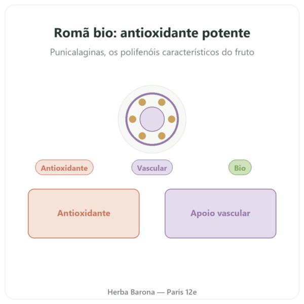 Romã Bio Dynveo – 375 mg – 60 cápsulas – 30% Punicalaginas – 50% Polifenóis apresentação Paris Herba Barona