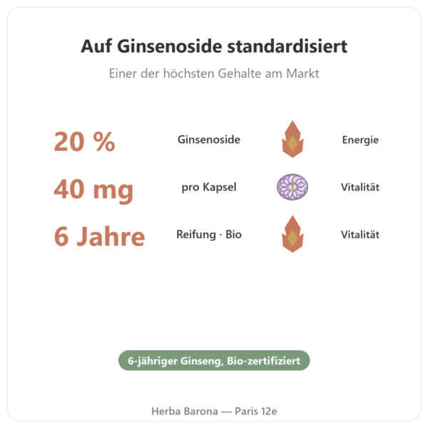 Roter Ginseng Bio 20 % Ginsenoside – Dynveo – 200 mg – 60 Kapseln Vorteile und Fakten Paris Herba Barona