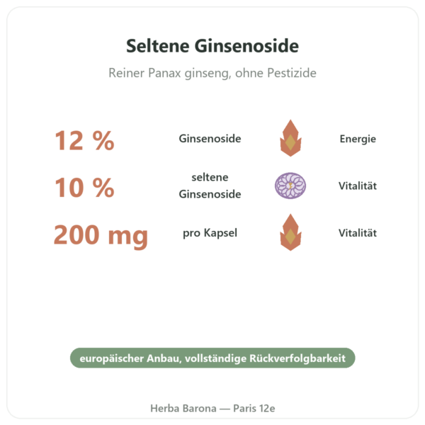 Roter Ginseng Premium – Dynveo – 200 mg – 60 Kapseln Vorteile und Fakten Paris Herba Barona