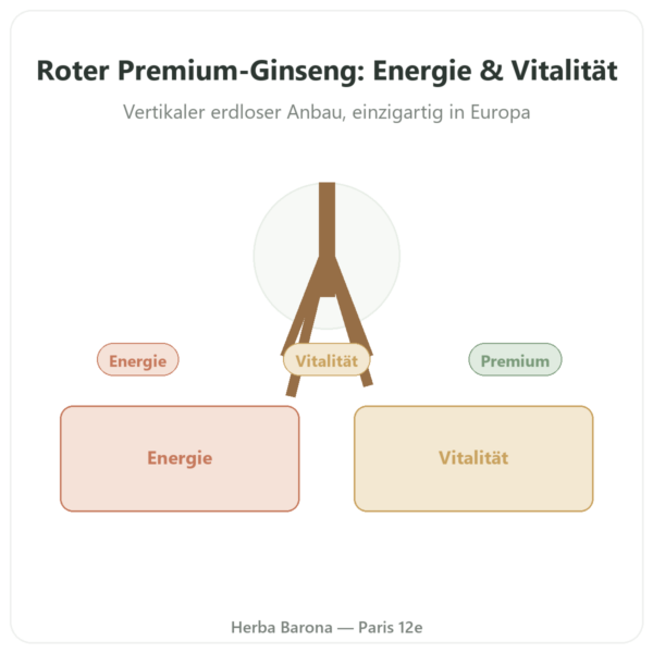Roter Ginseng Premium – Dynveo – 200 mg – 60 Kapseln Vorstellung Paris Herba Barona