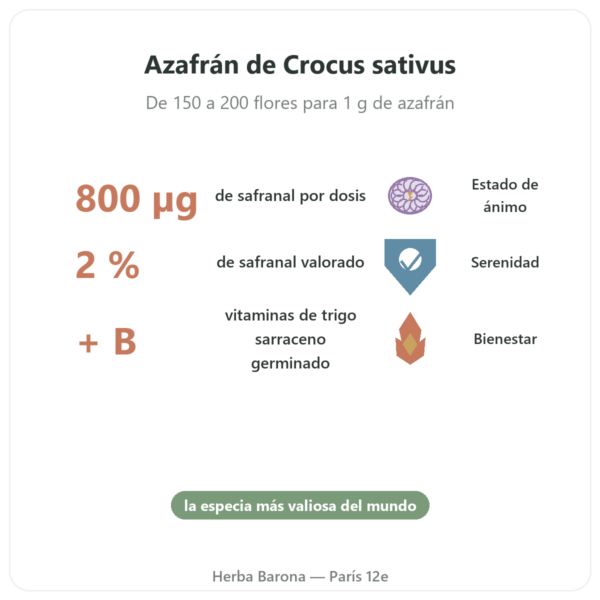 SAFRAMAX – 60 Cápsulas Safranal – Extracto de Azafrán + Vitaminas B beneficios y datos clave Paris Herba Barona