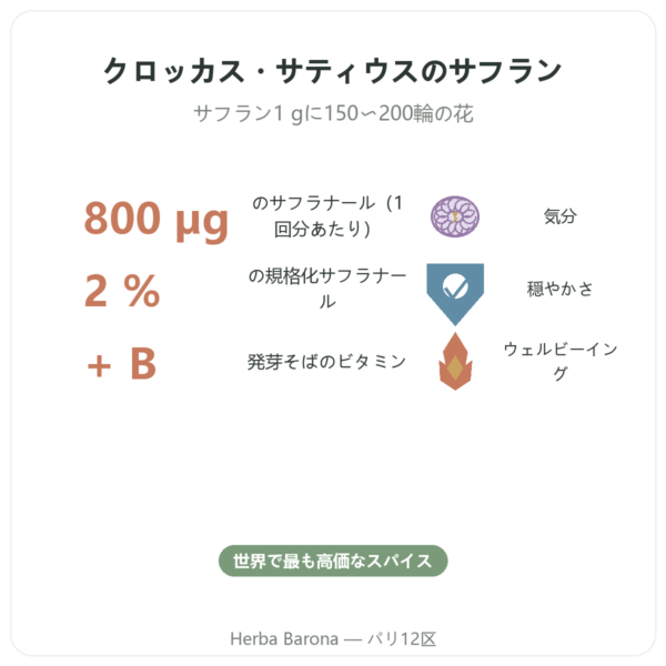 SAFRAMAX サフラナール 60カプセル サフランエキス+ビタミンB群 benefits and key facts Paris Herba Barona