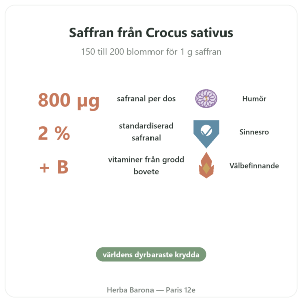 SAFRAMAX – 60 kapslar Safranal – saffransextrakt + B-vitaminer fördelar och nyckelfakta Paris Herba Barona