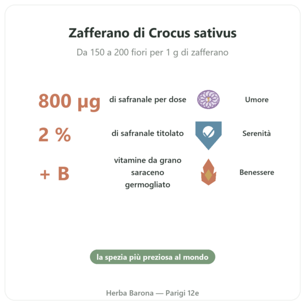 SAFRAMAX – 60 capsule Safranale – estratto di zafferano + vitamine B benefici e dati chiave Paris Herba Barona