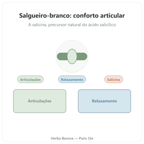 Extrato de casca de Salgueiro Branco – Dynveo – 60 cápsulas apresentação Paris Herba Barona