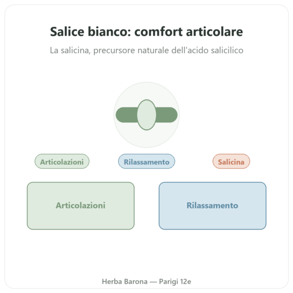 Estratto di corteccia di Salice Bianco – Dynveo – 60 capsule presentazione Paris Herba Barona