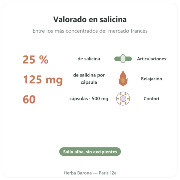 Extracto de corteza de Sauce Blanco – Dynveo – 60 cápsulas beneficios y datos clave Paris Herba Barona