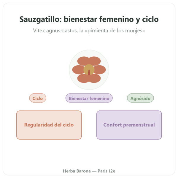 Sauzgatillo Extracto 250 mg – 0,6% Agnusido – 60 Cápsulas presentación Paris Herba Barona